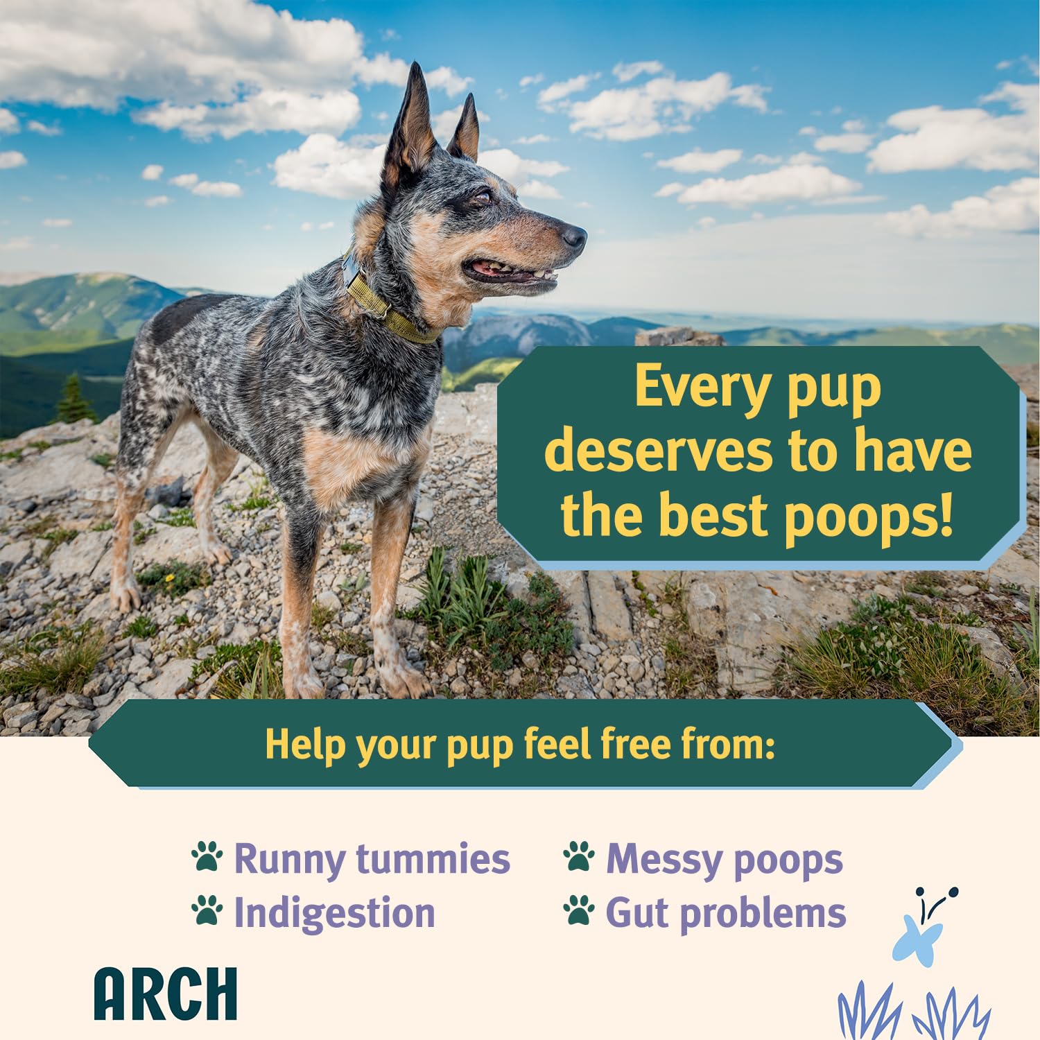 Arch Digestive Health Dog Treats | Prebiotic/Probiotic, Hypoallergenic, Made in The USA, Gluten-Free, Eco-Friendly | High Protein, Natural High Value | Gut and Stomach Relief and Support