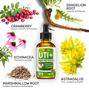 Dog UTI Treatment ✿ Cat UTI Remedy ✿ Dog Urinary Tract Infection Treatment ✿ Cat Urinary Supplement ✿ Bladder + Kidney Support for Cats & Dogs ✿ UTIs and Bladder Stones ✿ Natural Cranberry Supplement