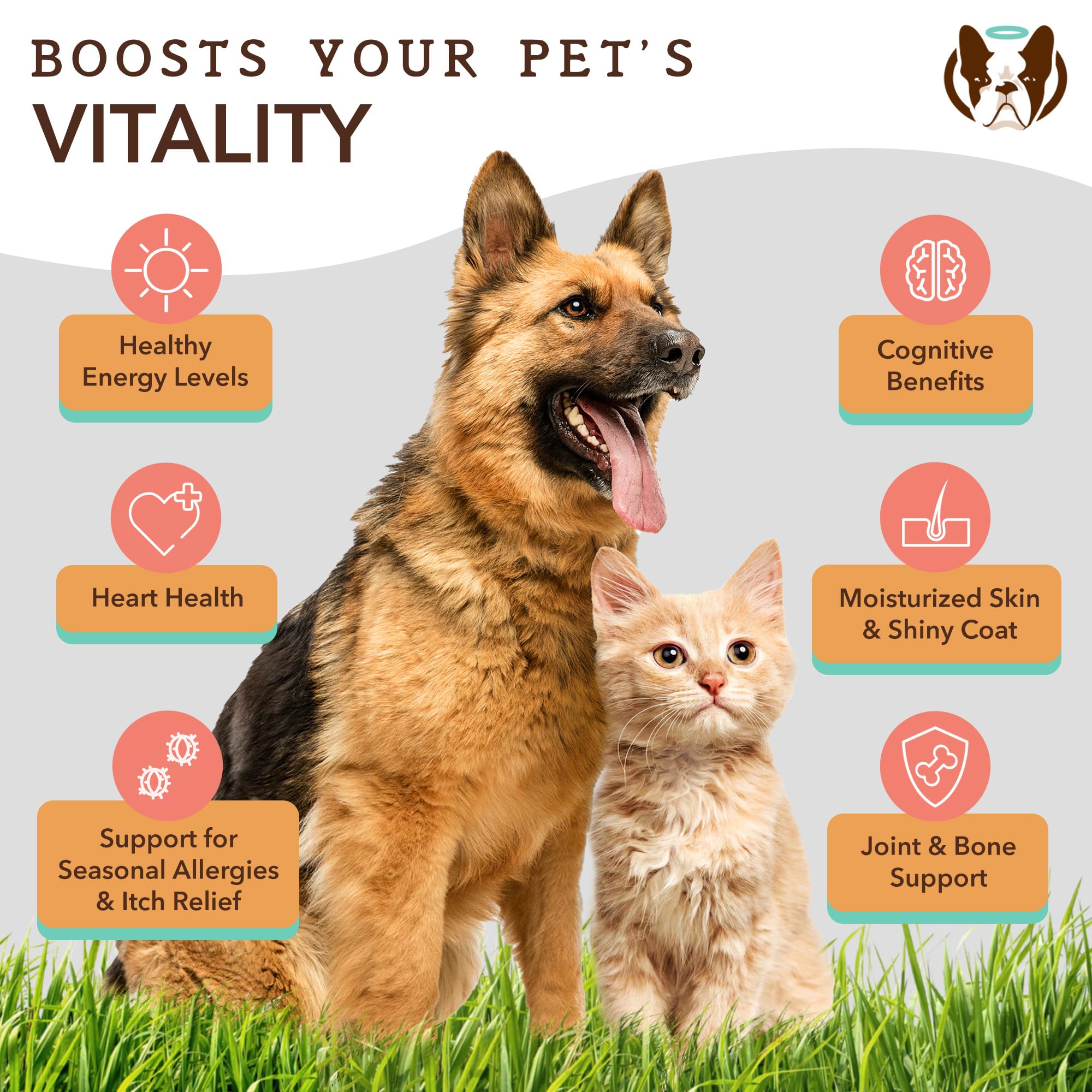 Natural Dog Company Wellness Bundle for Dogs, Salmon Oil for Dogs, multivitamin and Supplement, Itch Relief for Dogs