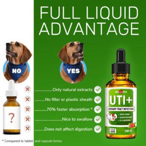 Dog UTI Treatment ✿ Cat UTI Remedy ✿ Dog Urinary Tract Infection Treatment ✿ Cat Urinary Supplement ✿ Bladder + Kidney Support for Cats & Dogs ✿ UTIs and Bladder Stones ✿ Natural Cranberry Supplement