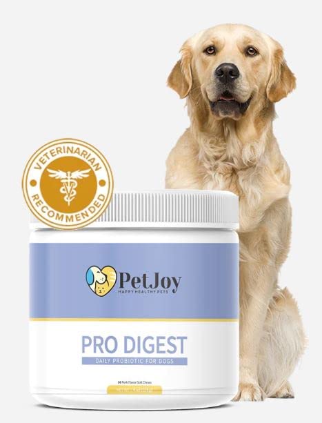 PetJoy - Balance Advanced Probiotic for Dogs | Pro Digest Soft Chews for Gut Health | DE111 | Gut Flora, Digestive Health, Occasional Diarrhea & Bowel Support | Small & Large Breeds | 60 Count