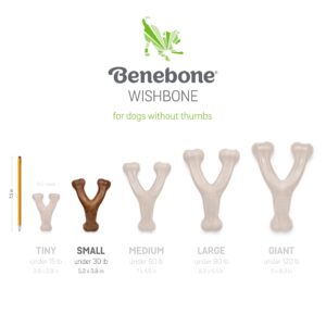 Benebone 2 Count (Pack of 1) Wishbone/Dental Durable Dog Chew Toys, Real Bacon, Made in USA, Small