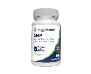 animalbiome dog probiotics - gmp prebiotics and probiotics - reduce diarrhea flareups - for dogs under 20 lbs (60 capsules) - doggybiome