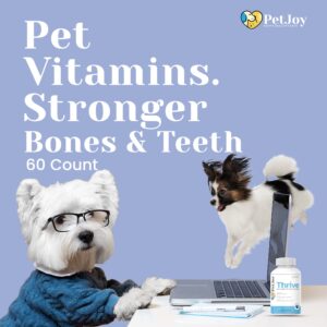 PetJoy - Thrive Daily Multivitamin Soft Chew for Dogs | Energy, Healthy Skin & Coats, and Stronger Bones & Teeth | Complete Daily Health | Pet Vitamins | 60 Count