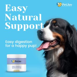 PetJoy - Balance Advanced Probiotic for Dogs | Pro Digest Soft Chews for Gut Health | DE111 | Gut Flora, Digestive Health, Occasional Diarrhea & Bowel Support | Small & Large Breeds | 60 Count