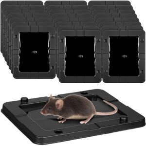 qualirey 24 packs large baited glue traps bulk for rats and snakes sticky mouse trap rat traps indoor rodent killer baited trays plastic sticky non toxic mouse trap for home indoor outdoor