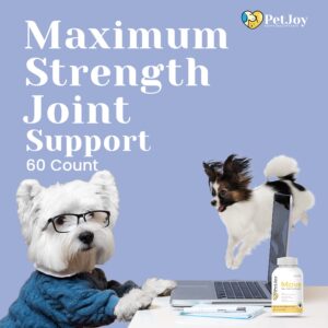 PetJoy - Move Joint Health Supplement | Maximum Strength Joint Support Plus MSM, Glucosamine, Chondroitin | Aging, Hip Dysplasia, & Arthritis Relief | Restore Hip and Joint Tissue | 60 Count Soft Chew