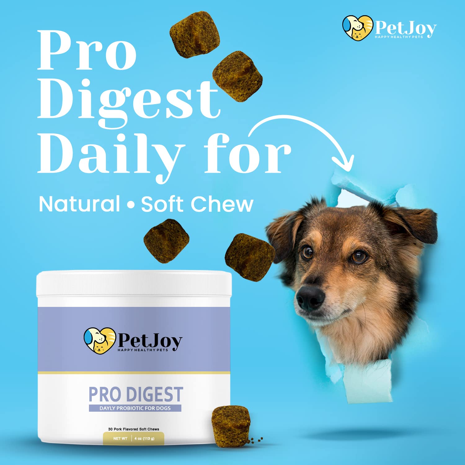 PetJoy - Balance Advanced Probiotic for Dogs | Pro Digest Soft Chews for Gut Health | DE111 | Gut Flora, Digestive Health, Occasional Diarrhea & Bowel Support | Small & Large Breeds | 60 Count