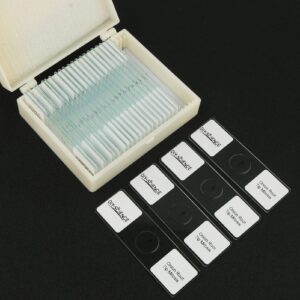 Onion Root Tips Mitosis Microscope Slides Set, 25PCS Pack Slides Show Plant Mitosis for Biology Science Class (25 Count)