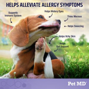 Pet MD Allergy Aid - Puppy & Dog Allergy Chews with Quercetin & Pumpkin - Immune & Seasonal Allergy Relief for Dogs - Skin & Itch Relief for Dogs - 60 ct