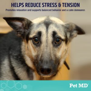 Pet MD Calming Chews for Dogs - Separation Anxiety Relief for Dogs - Enhanced with Melatonin & Ginger - Puppy & Dog Calming Treats for Chronic or Acute Anxiety - 60 ct