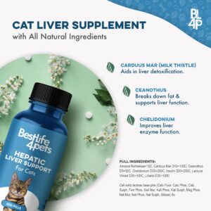 Hepatic Liver Support for Cats - Dissolvable Homeopathic Liver and Digestive Feline Supplement for Liver Detox and Nutrient Absorption - 100% All Natural - Easy to Give, Free of Chemicals or Additives