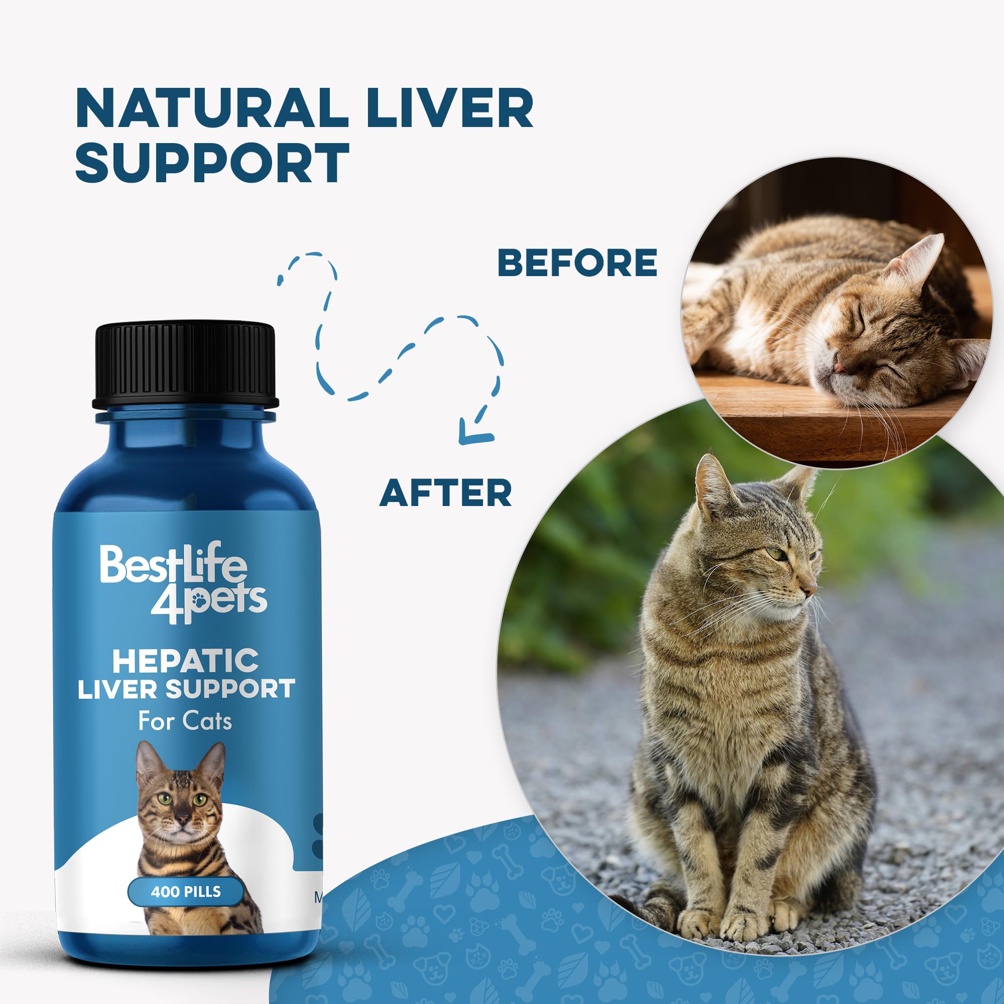 Hepatic Liver Support for Cats - Dissolvable Homeopathic Liver and Digestive Feline Supplement for Liver Detox and Nutrient Absorption - 100% All Natural - Easy to Give, Free of Chemicals or Additives