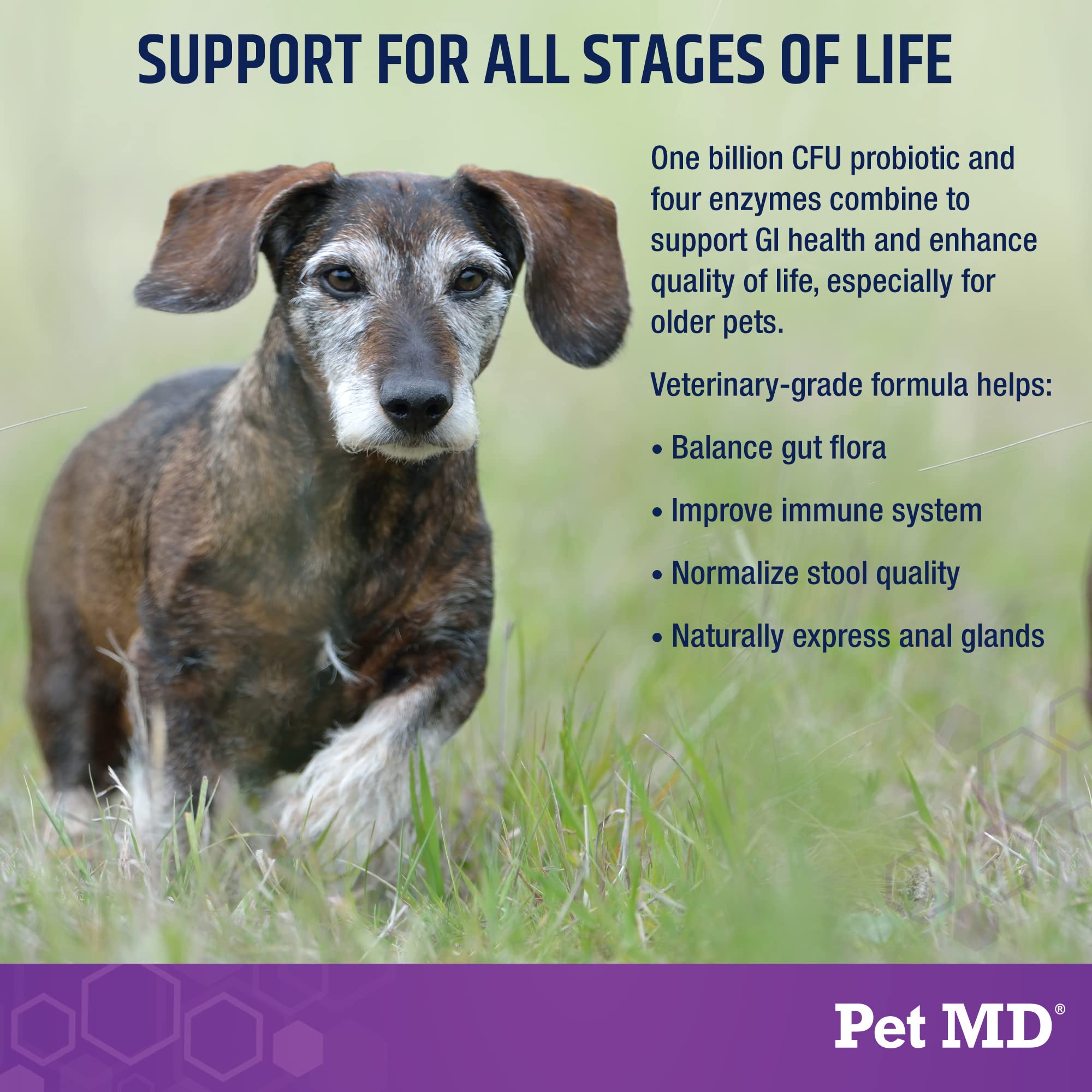 Pet MD Probiotics & Enzymes for Dogs - Gut Health Chews with Prebiotics - Digestive Aid for Dogs with Upset Stomach, Diarrhea, Constipation, or Gas - Functional Probiotics for Dogs - 60 ct