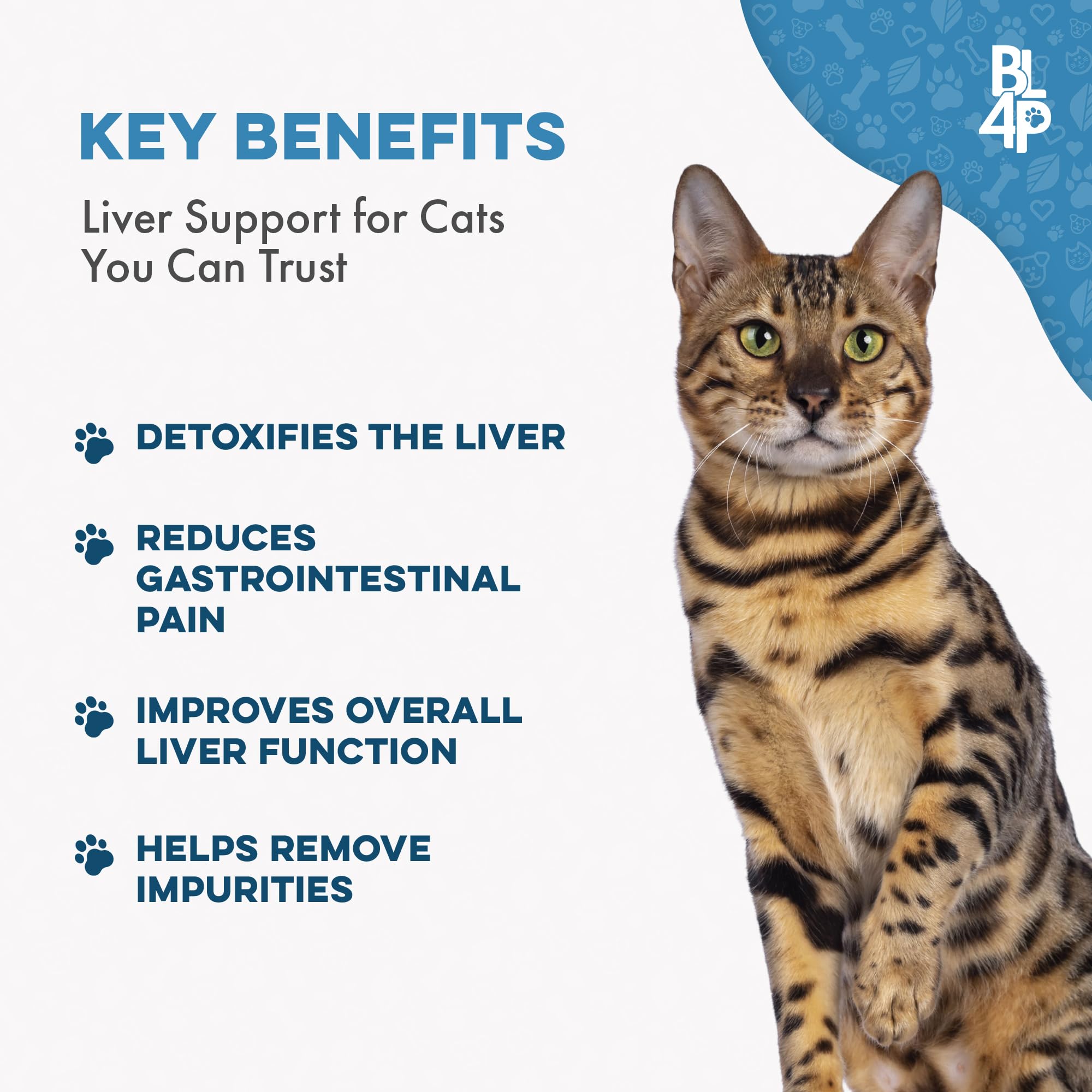 Hepatic Liver Support for Cats - Dissolvable Homeopathic Liver and Digestive Feline Supplement for Liver Detox and Nutrient Absorption - 100% All Natural - Easy to Give, Free of Chemicals or Additives