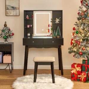 BEWISHOME Vanity Desk with Mirror and Lights, Makeup Vanity with Lights, Black Vanity Set, Makeup Desk with 3 Color Lighting, Vanity Table with Cabinet & 2 Drawers, Dressing Table Makeup Table FST15H