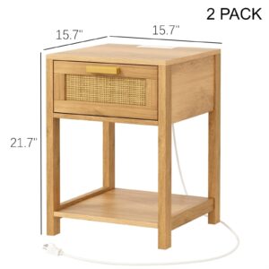 Rovaurx Rattan Set of 2 Nightstand with Charging Station, Wooden End Table with Storage Drawer and Opening Shelf, Bedside Table, Natural RCTG109ME02