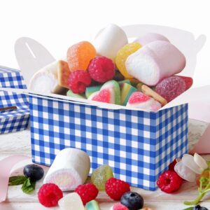 Blue and White Gingham Treat Boxes 24 Pieces Candy Gable Boxes Goodies Boxes Cardboard Present Boxes with Handles for Birthday Party Family Dinner Picnic Barbecue Father's Day Party