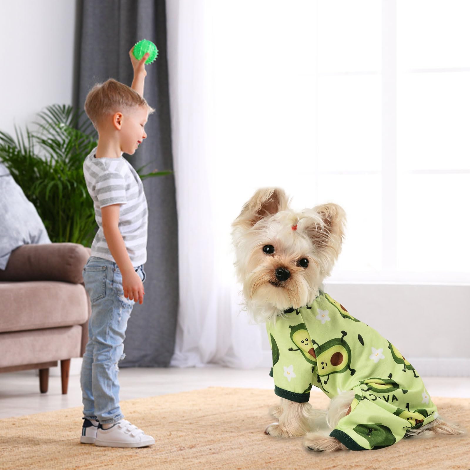 Dog Pajamas Kiwi Puppy Apparel Doggie Outfits Pet Clothes Cat Pjs for Small Dog Boy Girl Small Dog Pajamas