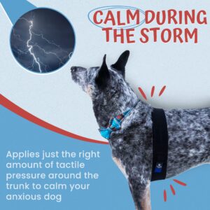 Calmr Dog SettleStrap for Help Calming Anxious & Active Dogs - Canine Pressure Strap for Comfortable & Effective Stress Relief for Dogs - Calming Dog Anxiety Vest - Dog Calming Device, USA Made, 40 in