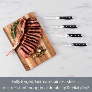 All-Clad Forged German Stainless Steel Steak Knife Set 4 Piece, Fully Forged, Expert Precision, Home Kitchen Knife Set, Knife Block Set, Kitchen Knives, Cookware Utensil, Cook Tool, Ultra Sharp