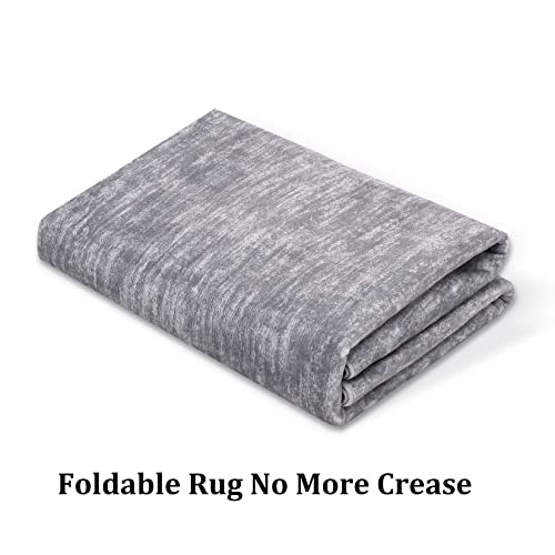 IMINROME Small Area Rug Mat Modern Solid Indoor Throw Carpet Contemporary Doormat Rug Machine Washable Low-Pile Area Rug for Living Room Bedroom Laundry, 2' x 3' Grey