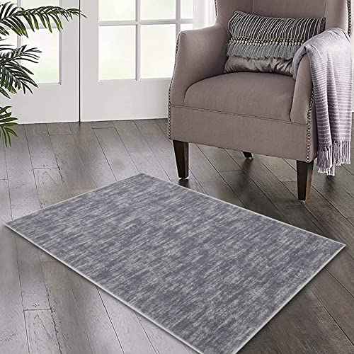 IMINROME Small Area Rug Mat Modern Solid Indoor Throw Carpet Contemporary Doormat Rug Machine Washable Low-Pile Area Rug for Living Room Bedroom Laundry, 2' x 3' Grey