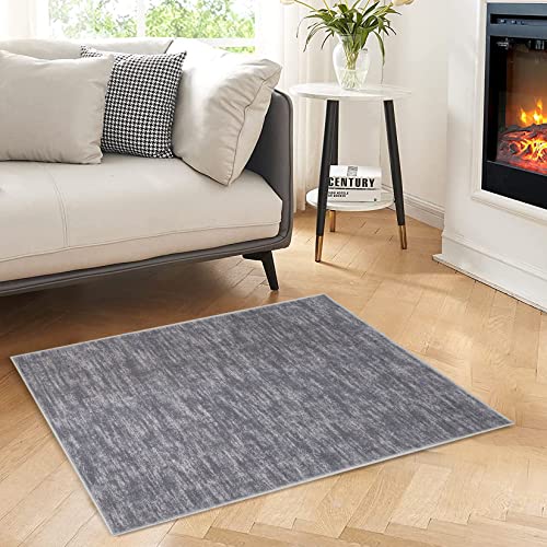 IMINROME Small Area Rug Mat Modern Solid Indoor Throw Carpet Contemporary Doormat Rug Machine Washable Low-Pile Area Rug for Living Room Bedroom Laundry, 2' x 3' Grey