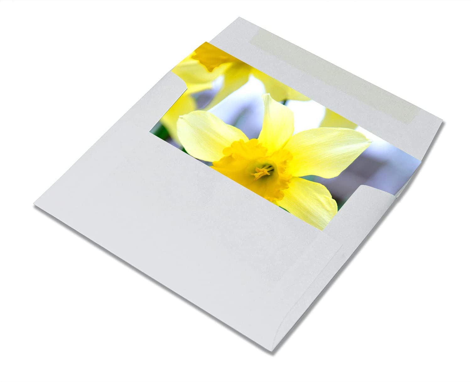 Small World Greetings Spring Flowers Notecards 24 Count - Blank Inside with Envelopes - A2 Size 5.5" x 4.25" - Floral Stationery - All Occasion Birthday, Thank You, and More