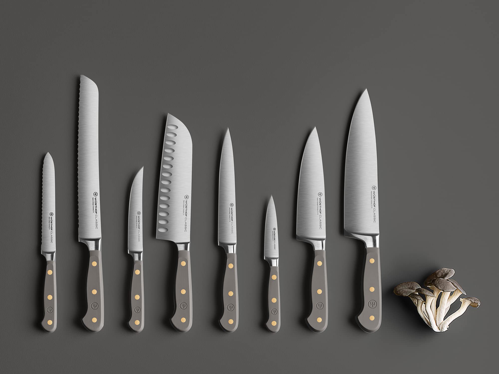 WÜSTHOF Classic Velvet Oyster 4 Piece Steak Knife Set