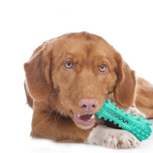 CERISURIO Toothbrush Dog Chew Toy, Stick Bone for Dog Teeth Cleaning, Tooth Brushing, Teething Chew Toys, Dental Oral Care for Small, Medium and Large Dogs(Blue)