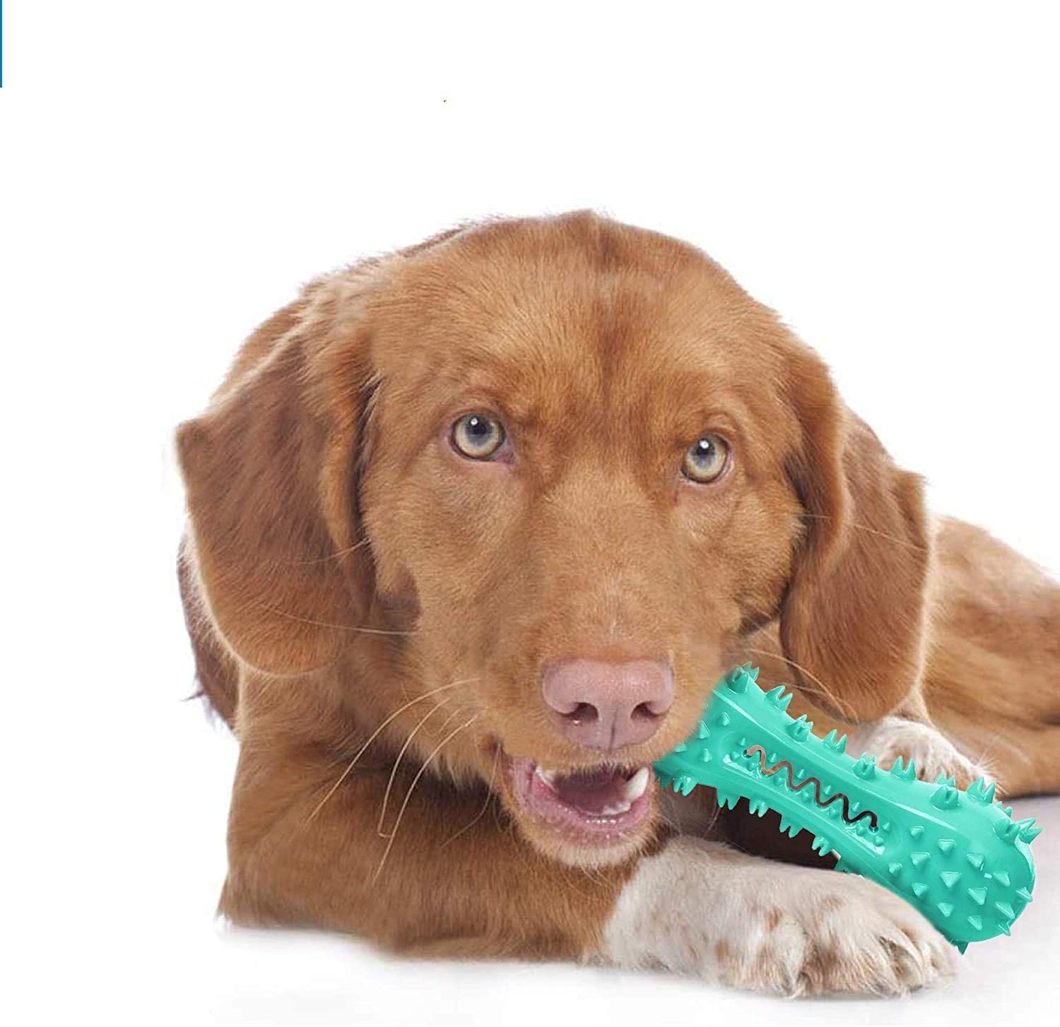 CERISURIO Toothbrush Dog Chew Toy, Stick Bone for Dog Teeth Cleaning, Tooth Brushing, Teething Chew Toys, Dental Oral Care for Small, Medium and Large Dogs(Blue)