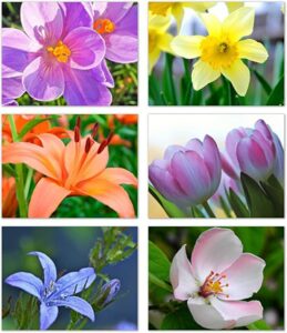 small world greetings spring flowers notecards 24 count - blank inside with envelopes - a2 size 5.5" x 4.25" - floral stationery - all occasion birthday, thank you, and more