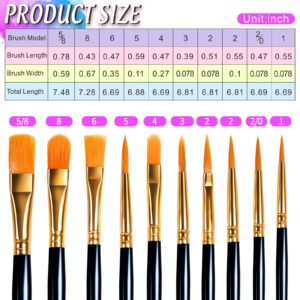 FANDAMEI Round Paint Tray Palettes and Paint Brushes Set, Paintbrushes, 3 PCS Plastic Paint Palettes Pallets, 10 PCS Acrylic Paint Brushes, Nylon Hair Painting Brushes, for Acrylic Oil Watercolor