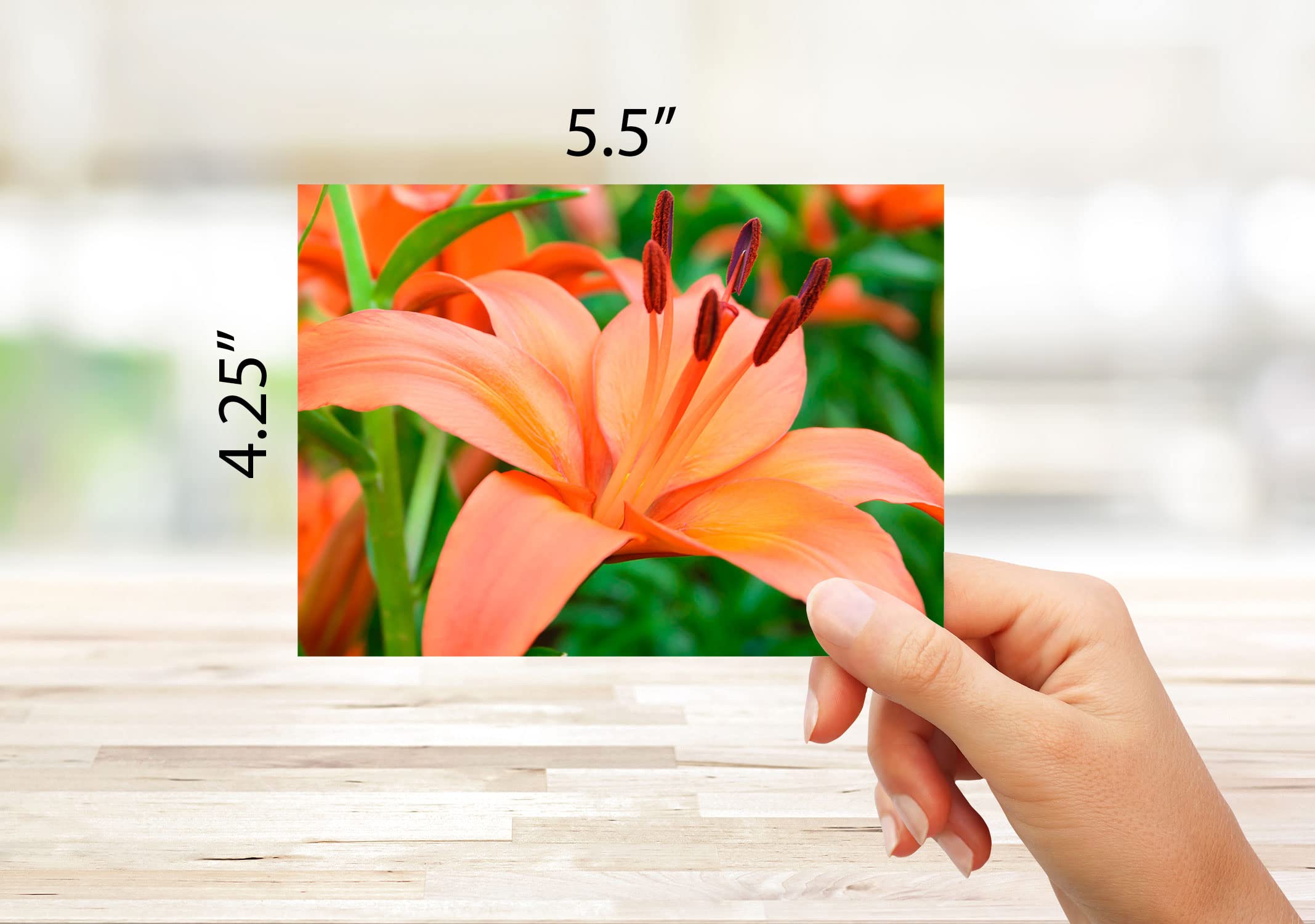 Small World Greetings Spring Flowers Notecards 24 Count - Blank Inside with Envelopes - A2 Size 5.5" x 4.25" - Floral Stationery - All Occasion Birthday, Thank You, and More