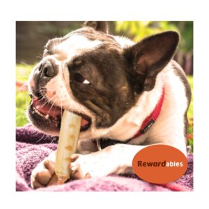 P2P Hide Free Chicken Recipe Chew for Dogs, 100% Rawhide Free Chews, Natural Dog Treats, Easily Digestible Large Rolls, Dental Sticks Pet Food Supplies, 2.4 Lb Bags(2 Pack)