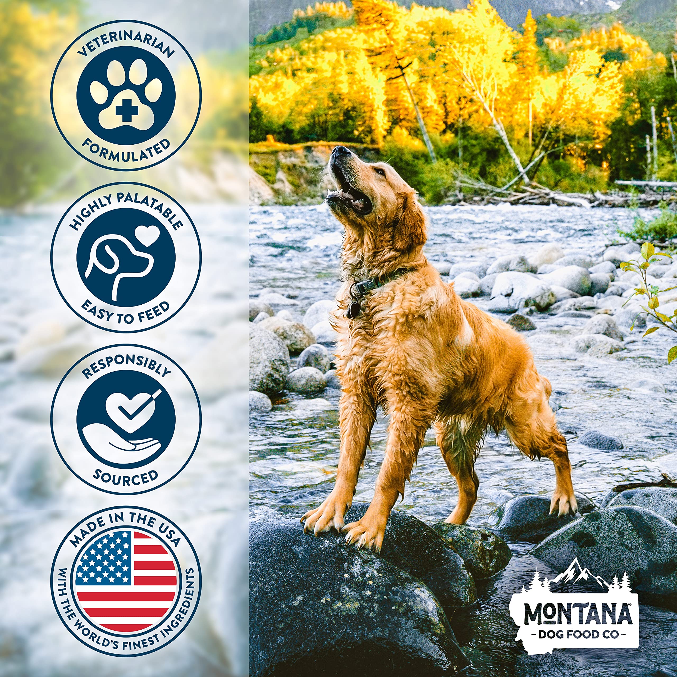 Montana Dog Food Co. Skin & Coat Health Supplement Chews for Dogs – Soothes Dry Itchy Skin with Omega 3 & 6, Biotin & Vitamin E – Promotes Shiny Coat & Healthy Skin –USA-Made, 70 Soft Chews