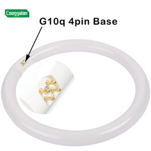 COOGGALAN FC12T9/CW 32W Cool White Circular Light Bulbs, 12 inch Round T9 32 Watts FC12T9/841 4100K Circline Fluorescent Bulb, Replacement Kitchen and Bath Circle Light Bulb, G10q 4 Pin Prong, 2 Pack