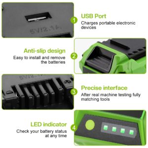 6.5Ah 40V 29472 29462 Replacement for Greenworks 40V Battery and Charger 29482, for GreenWorks 29472 29462 for GreenWorks 40V G-MAX Tools 29252 20202 22262, with 40V Grennworks Charger