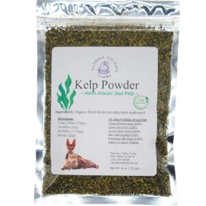 Kelp Powder for Dogs/Cats, Natural North Atlantic Ocean Sea Kelp, Vitamins Minerals and Antioxidants for Ultimate Health (4 Ounce)