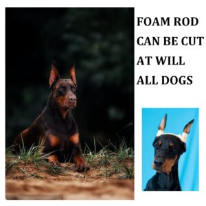 ziyue Doberman Ear Posting Kit, Dog Ear Cropping Dog Ear Stand up Care Tape Kit for Doberman Pinscher Dogs