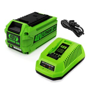 6.5ah 40v 29472 29462 replacement for greenworks 40v battery and charger 29482, for greenworks 29472 29462 for greenworks 40v g-max tools 29252 20202 22262, with 40v grennworks charger