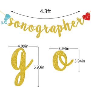 Sonographer Banner, Sonographer Decor, Sonographer Party Supplies, Sonographer Graduation Party Decorations (Gold Glitter)