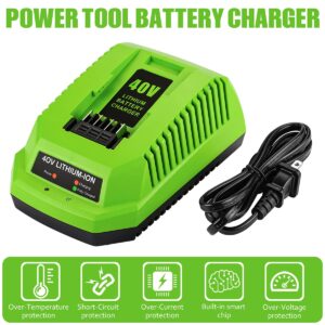 6.5Ah 40V 29472 29462 Replacement for Greenworks 40V Battery and Charger 29482, for GreenWorks 29472 29462 for GreenWorks 40V G-MAX Tools 29252 20202 22262, with 40V Grennworks Charger