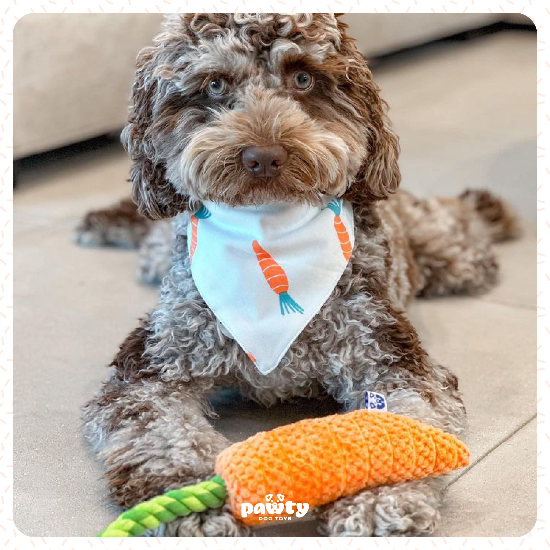 Pawty Dog Toys - Carrot Tug Rope Dog Toy - Squeaky Gift for Puppy Birthday - Cute Toys for Small to Medium Dogs - Durable Toy for Aggressive Chewer - Dog/Puppy Chew Food Shaped Toy - Tug Rope Dog Toy