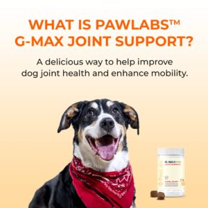 PAWLABS G-Max Joint Support for Dogs - Maximum Strength Hip & Joint Supplement with Glucosamine, Chondroitin, MSM, Green-Lipped Mussel - Relieves Arthritis Pain & Hip Dysplasia - Duck Flavor, 60 Chews