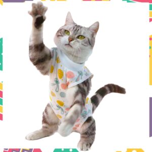 Mairbero cat Recovery Suit,Onesie for cat Surgery Surgical Recovery Suit, Abdominal Wound Or Skin Diseases E-Collar Alternative