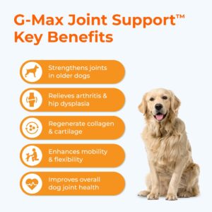 PAWLABS G-Max Joint Support for Dogs - Maximum Strength Hip & Joint Supplement with Glucosamine, Chondroitin, MSM, Green-Lipped Mussel - Relieves Arthritis Pain & Hip Dysplasia - Duck Flavor, 60 Chews