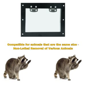 Raccoon one Way Door-One Way Door Excluder for Removal of Raccoons,| Easy Installation| Traps- Garden