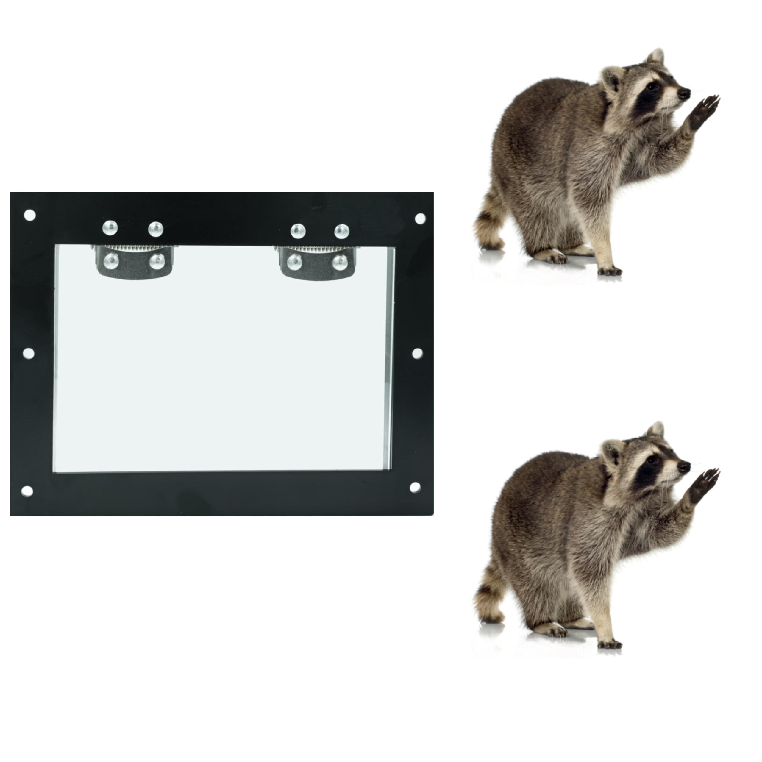 Raccoon one Way Door-One Way Door Excluder for Removal of Raccoons,| Easy Installation| Traps- Garden